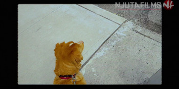 Good Boy (2025) download