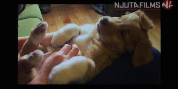 Good Boy (2025) download