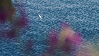 Grand Prix de Monaco, la légende (2023) download