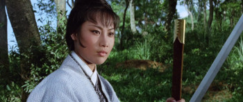 Gui nu chuan (1971) download