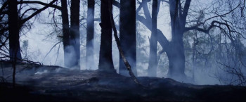 Gypsy Moon (2024) download