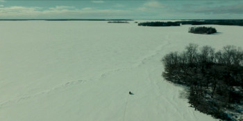 Hair of the Bear (2025) download
