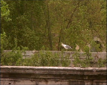 Hannibal (2006) download