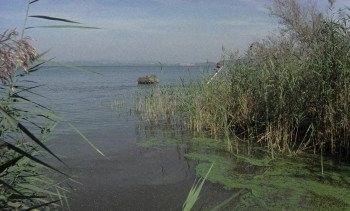 Hotel Fear (1978) download