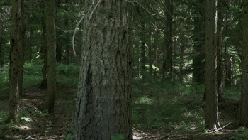 Hunting Grounds (2015) download