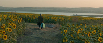 Hür Köle (2019) download
