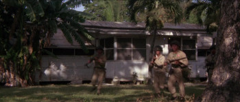 I cacciatori del cobra d'oro (1982) download