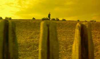 I Want You (1998) download