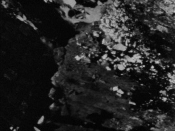 I Was a Teenage Serial Killer (1993) download