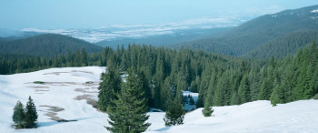 Ice Fall (2025) download