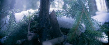 Ice Fall (2025) download