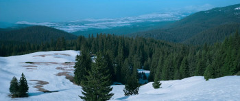 Icefall (2025) download