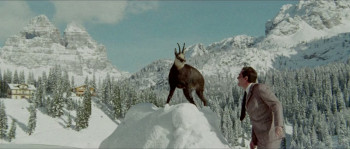 Il divorzio (1970) download