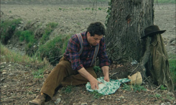 Il ragazzo di campagna (1984) download
