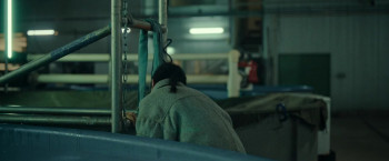 In Vitro (2024) download