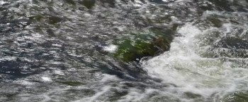 Incandescence (2024) download