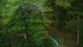 Induced (2022) download