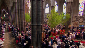 Invitation to a Royal Wedding (2018) download