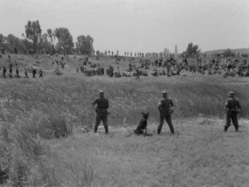 Italiani brava gente (1964) download