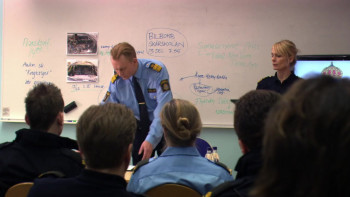 Johan Falk: Leo Gaut (2009) download