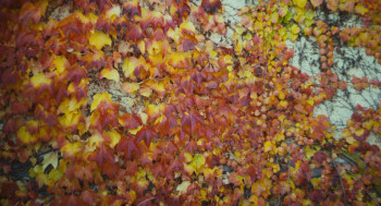 John Leguizamo: Sexaholix... A Love Story (2002) download