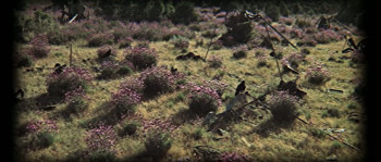 Julius Caesar (1970) download