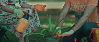 Kamaro2 (2025) download