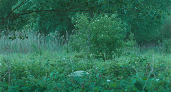 Kauwboy (2012) download