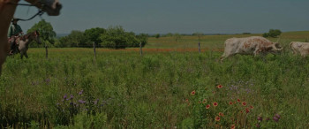 Killin' Jim Kelly (2025) download