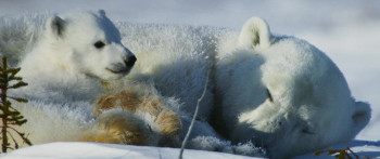 Kina & Yuk (2023) download