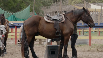 Knight Life (2025) download