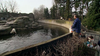 Knut and His Friends (2008) download