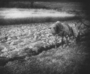 Konets Sankt-Peterburga (1927) download