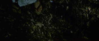 Konketsuji Rika (1972) download