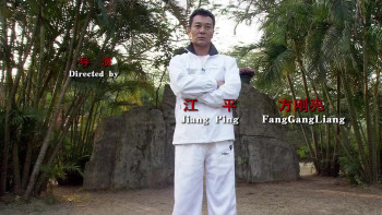 Kung Fu Master (2009) download