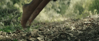 La terra delle donne (2023) download