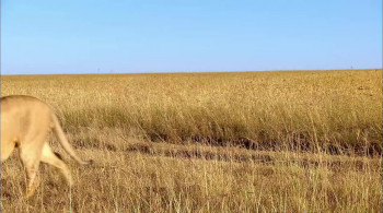 La Terre vue du ciel (2004) download