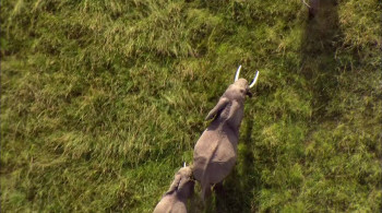 La Terre vue du ciel (2004) download