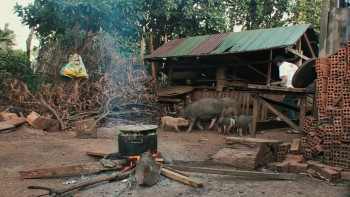 Land Looters (2026) download