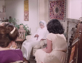 Leila and the Wolves (1984) download