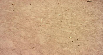 Les rois mages (2001) download