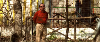 L'imbalsamatore (2002) download