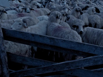 Longing (2022) download