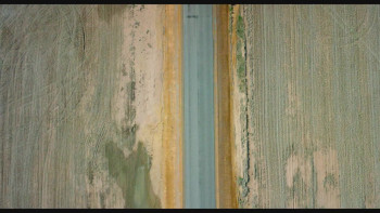 Looking for Grace (2015) download