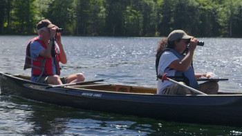 Loons: A Cry from the Mist (2022) download