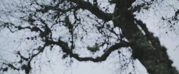 Lord of Tears (2013) download