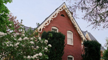 Love at the Bootcamp (2024) download