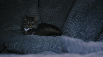 Love Possibly (2018) download