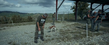 Lupi nostri (2025) download