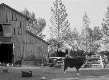 Ma and Pa Kettle at Home (1954) download